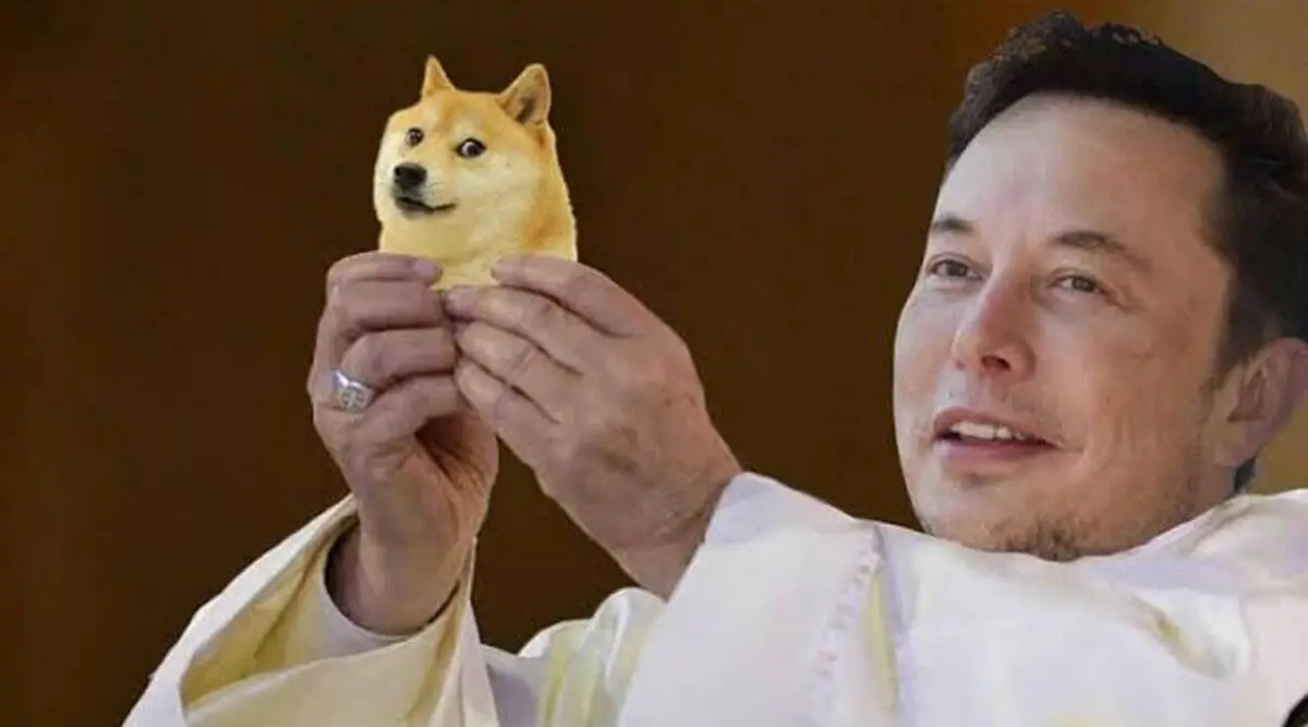 Elon Musk Dogecoin